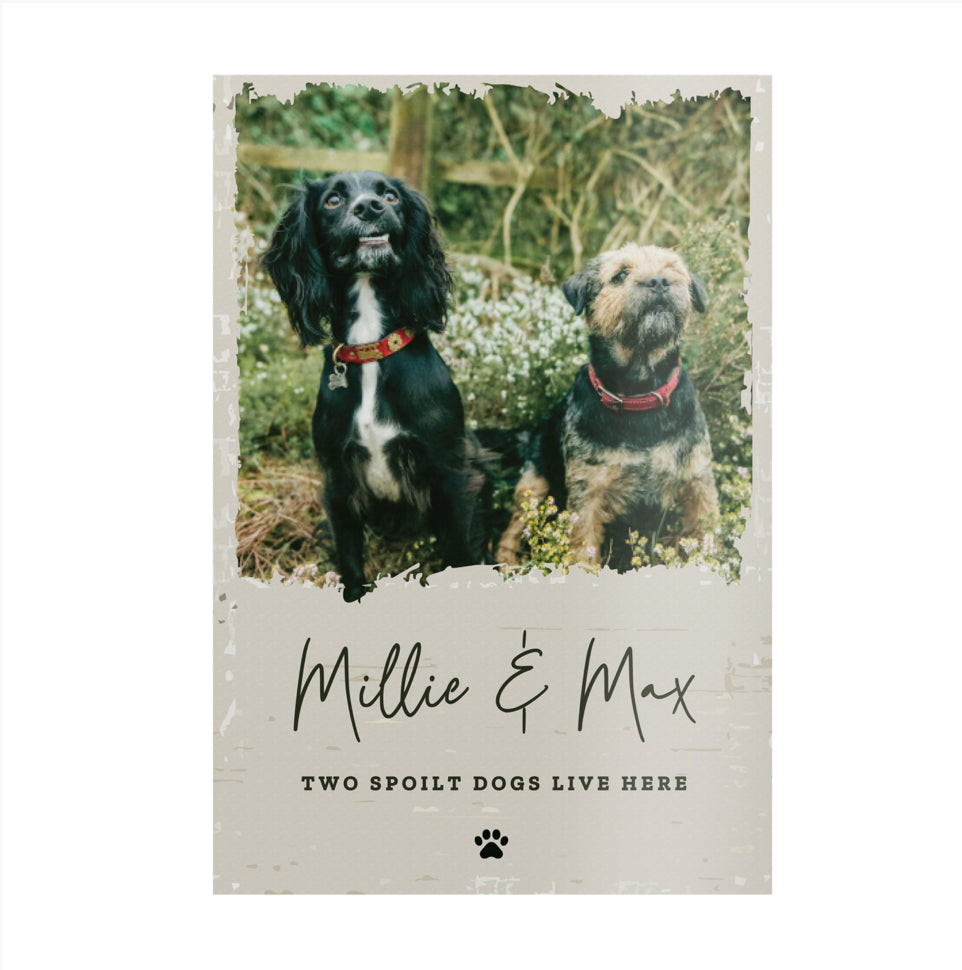 Personalised Photo Upload Pet Aluminium Sign