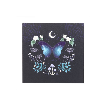 Midnight Moth Light Up Canvas Plaque