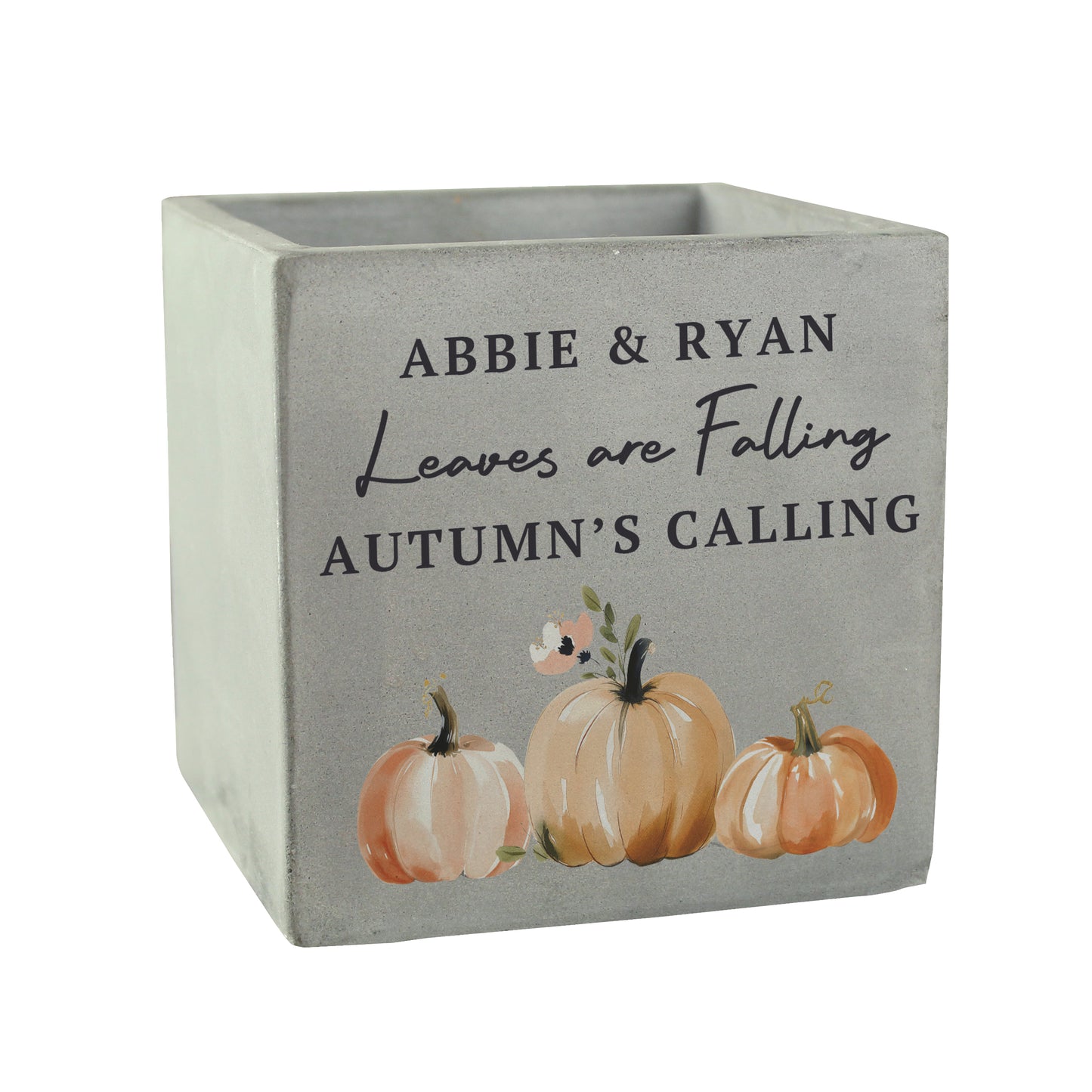 Personalised Pumpkin Concrete Plant Pot