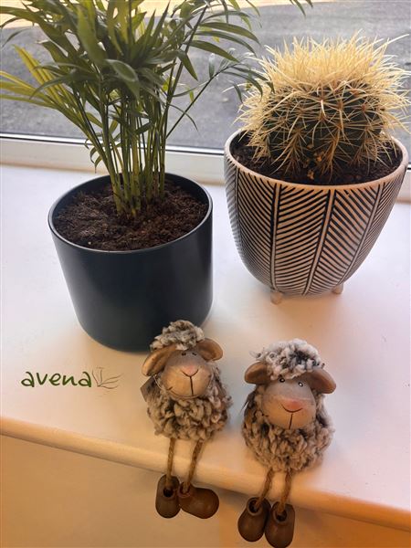 Grey Shaggy Sheep Shelf Sitters Set Of Two