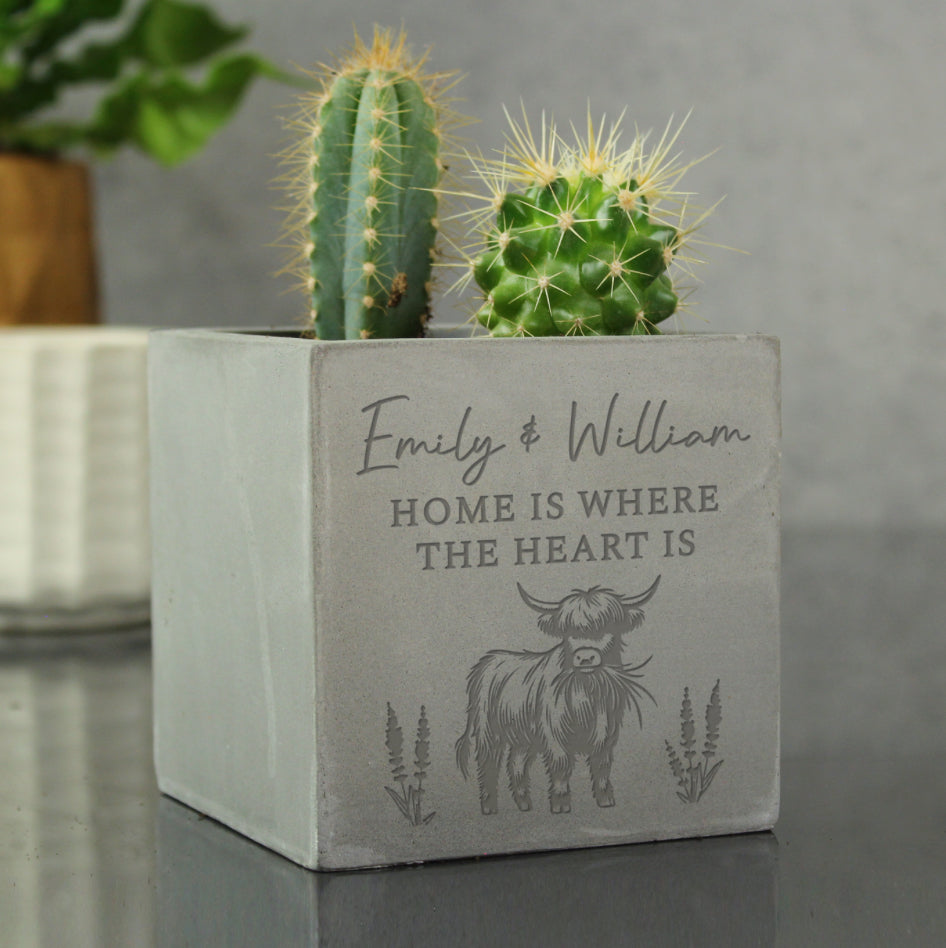 Personalised Highland Cow Concrete Plant Pot