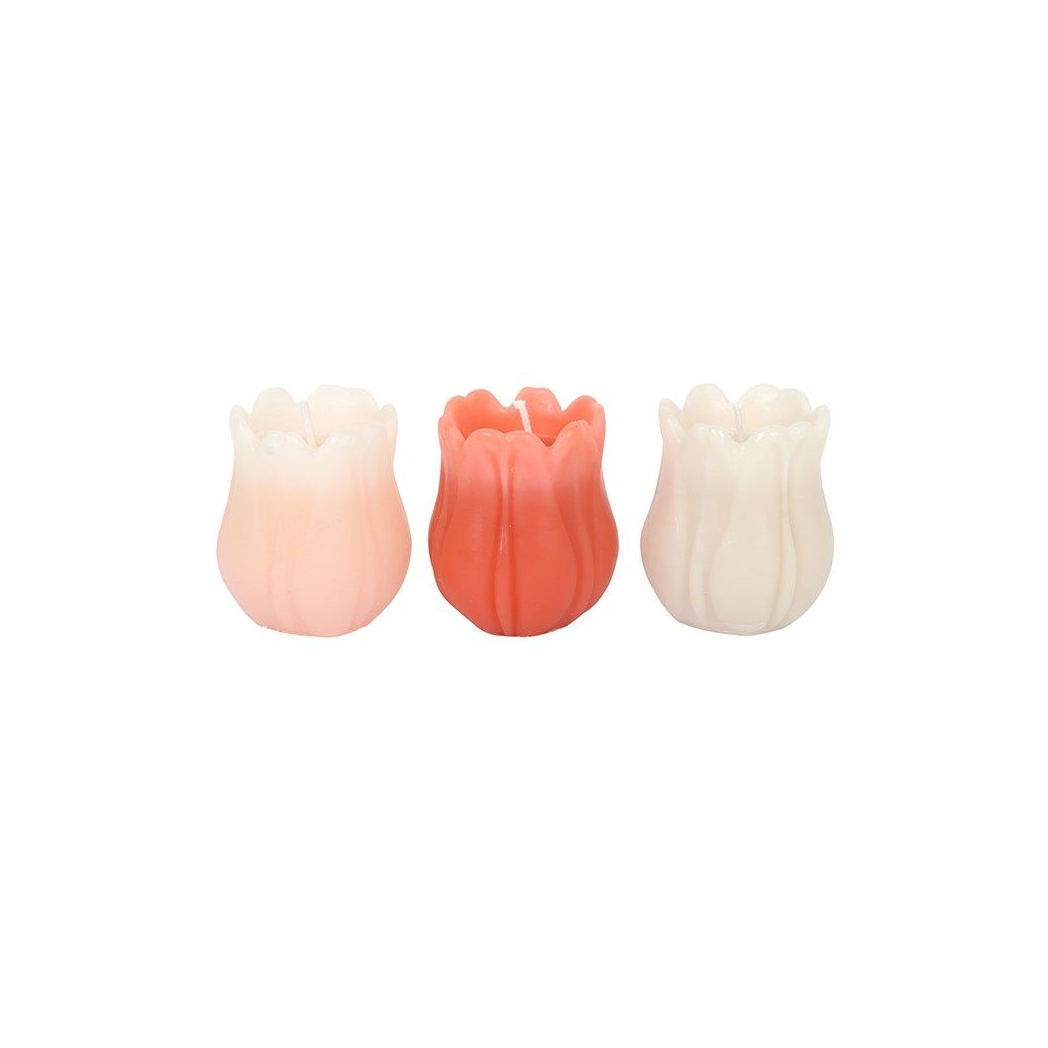 Set of 3 Tulip Shaped Candles
