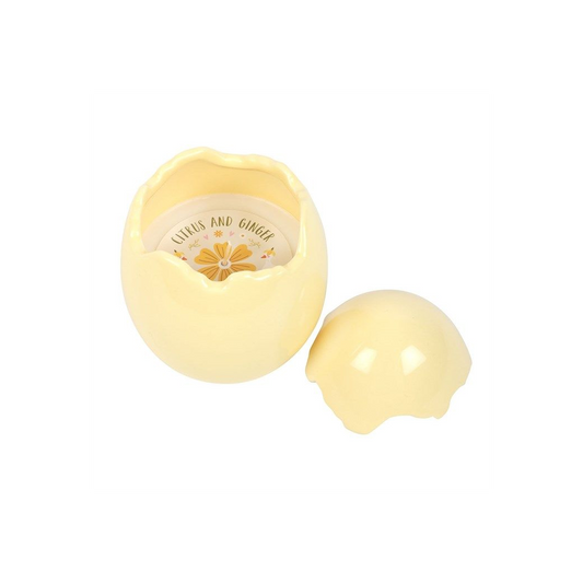 Citrus & Ginger Egg Shaped Candle