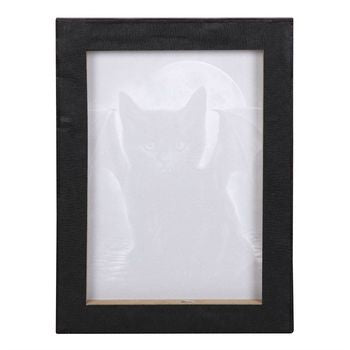 19x25cm Bat Cat Canvas Plaque by Spiral Direct