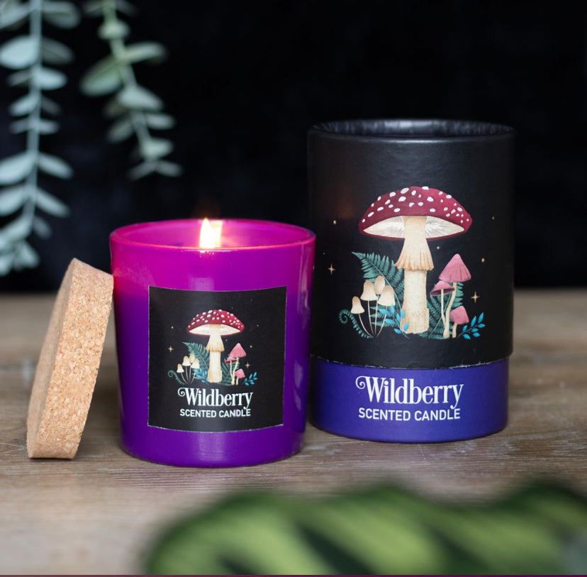 Forest Mushroom Wildberry Candle