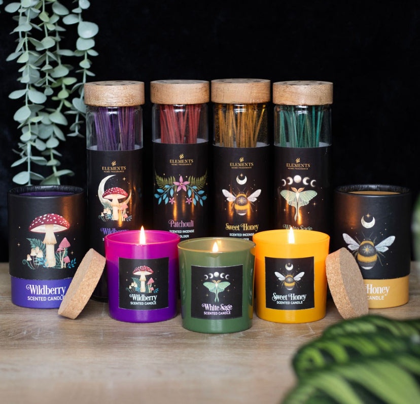 Forest Mushroom Wildberry Candle