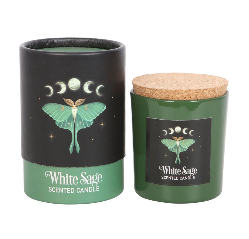 Luna Moth White Sage Candle