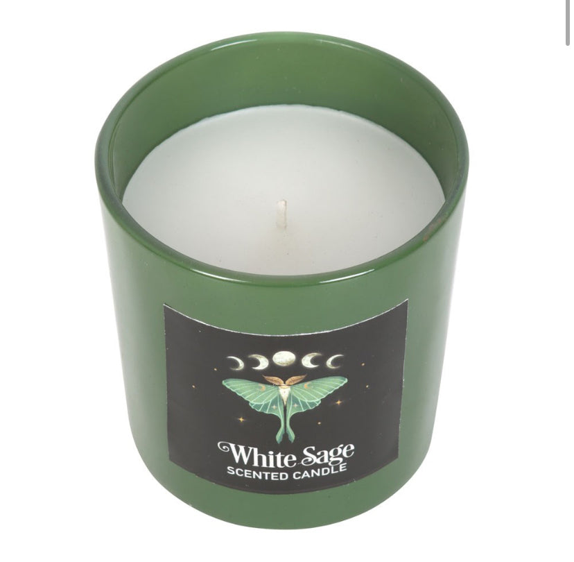 Luna Moth White Sage Candle