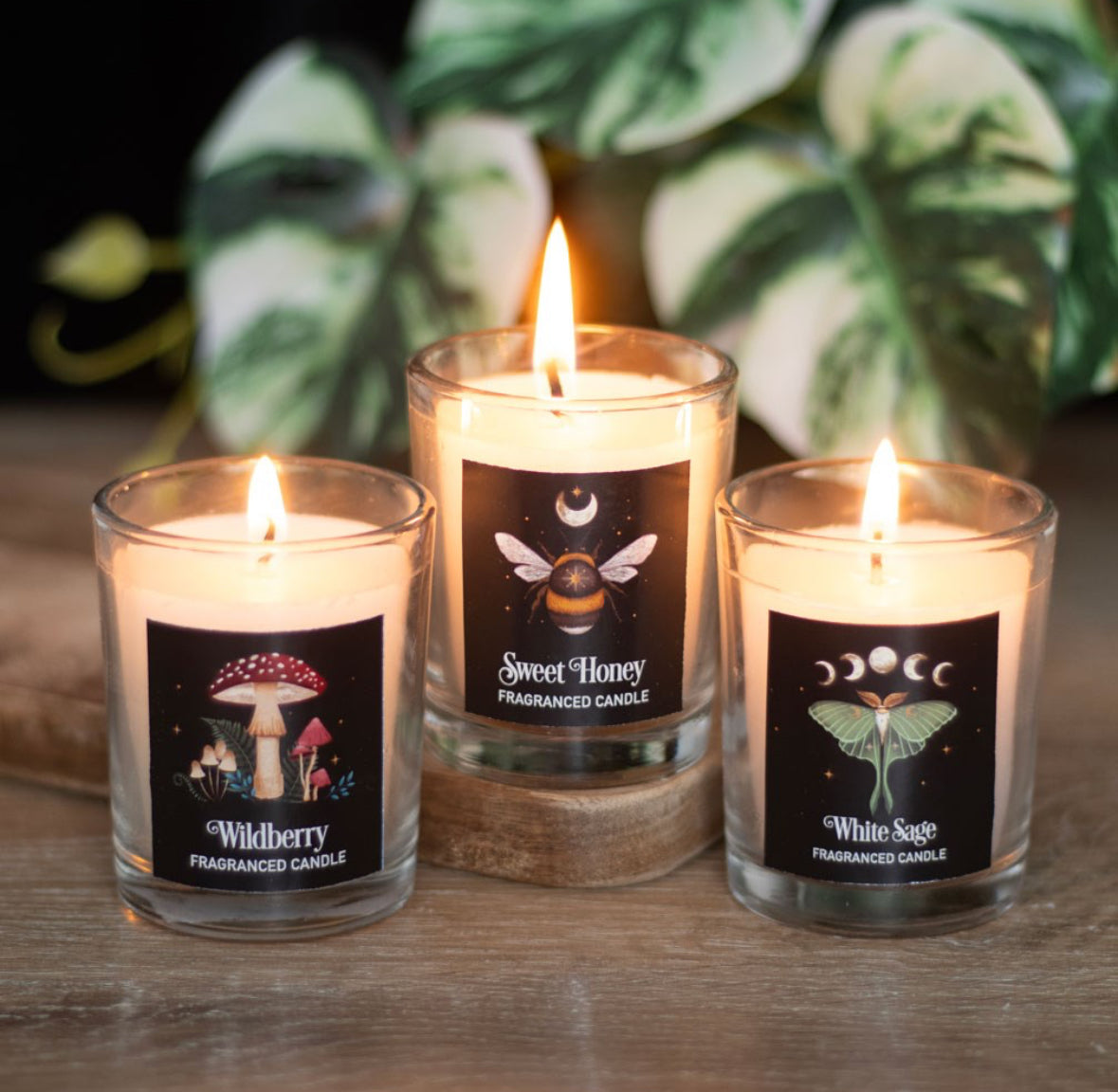 Dark Forest Votive Candle Trio