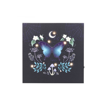 Midnight Moth Light Up Canvas Plaque