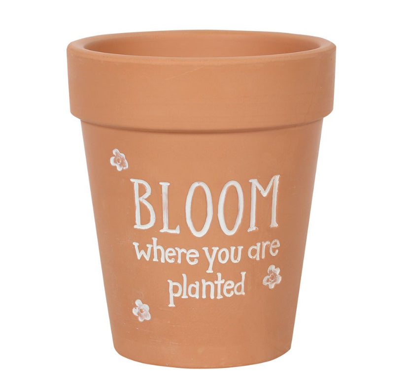 Bloom Where You Are Planted Terracotta Plant Pot