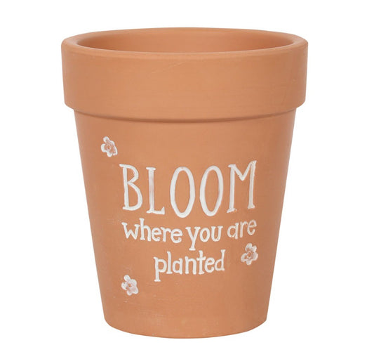 Bloom Where You Are Planted Terracotta Plant Pot