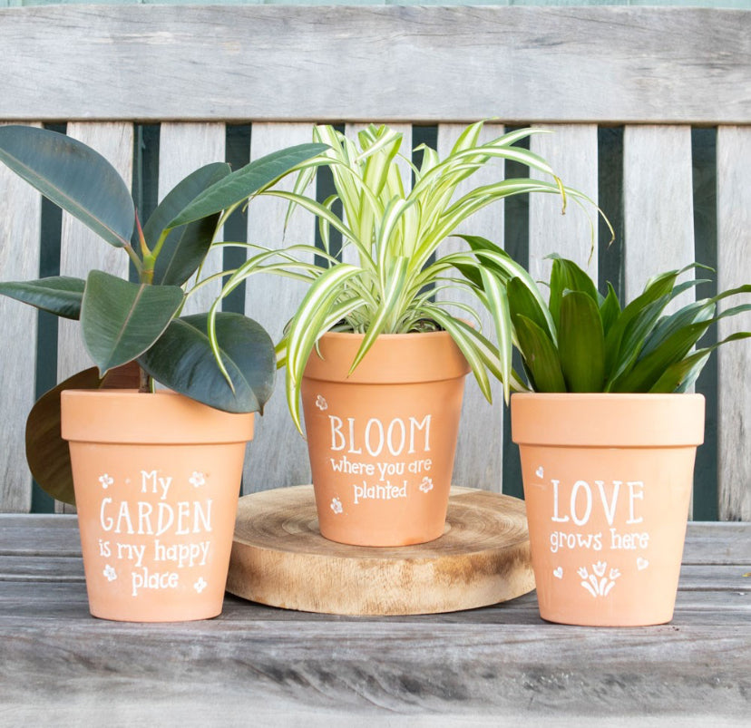 Bloom Where You Are Planted Terracotta Plant Pot