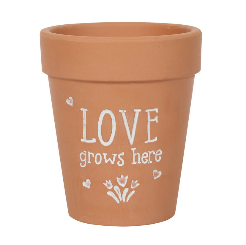 Love Grows Here Terracotta Plant Pot