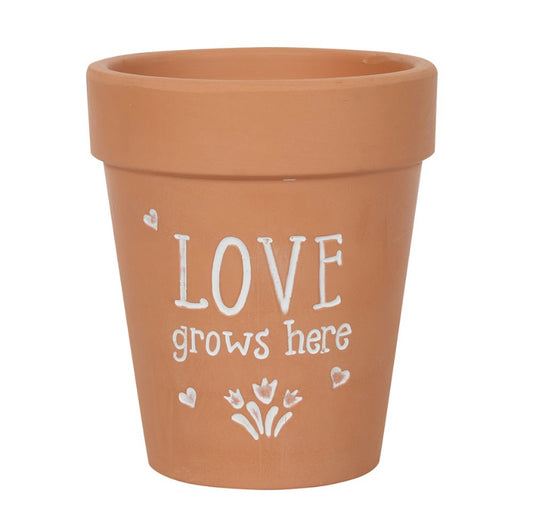 Love Grows Here Terracotta Plant Pot