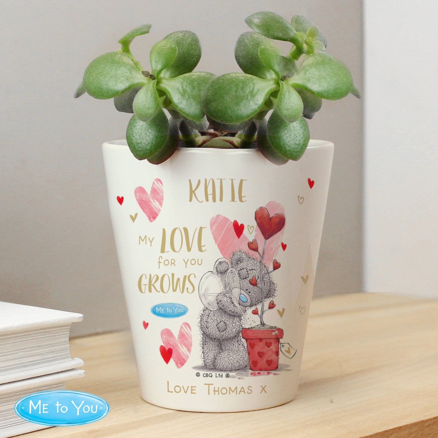 Personalised Me To You Hold You Forever Plant Pot