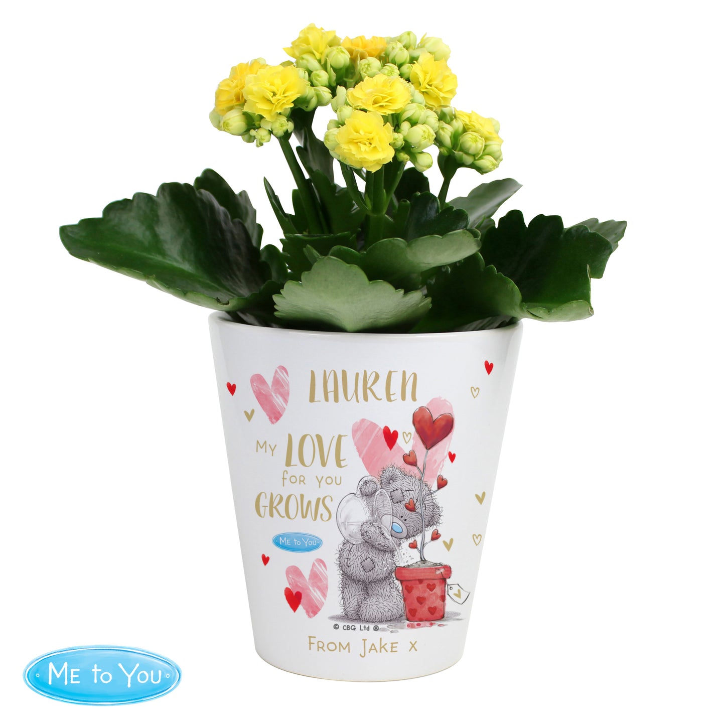 Personalised Me To You Hold You Forever Plant Pot