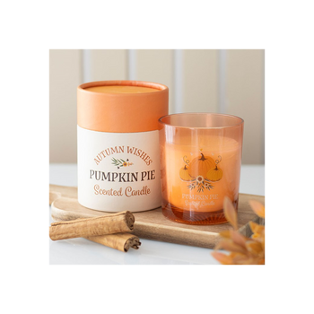 Autumn Wishes Pumpkin Pie Candle