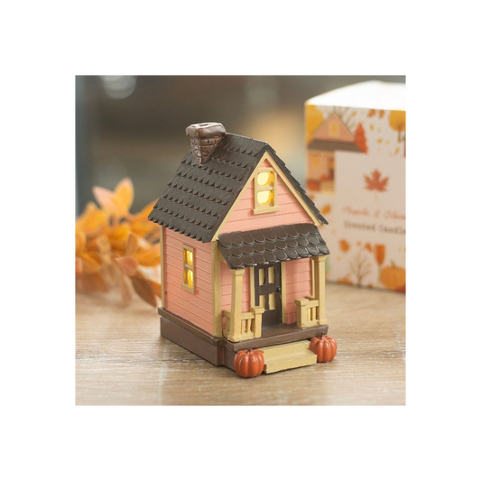 Pink House LED Light Up Decoration