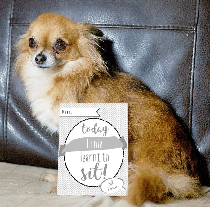 Personalised Puppy Cards: For Milestone Moments