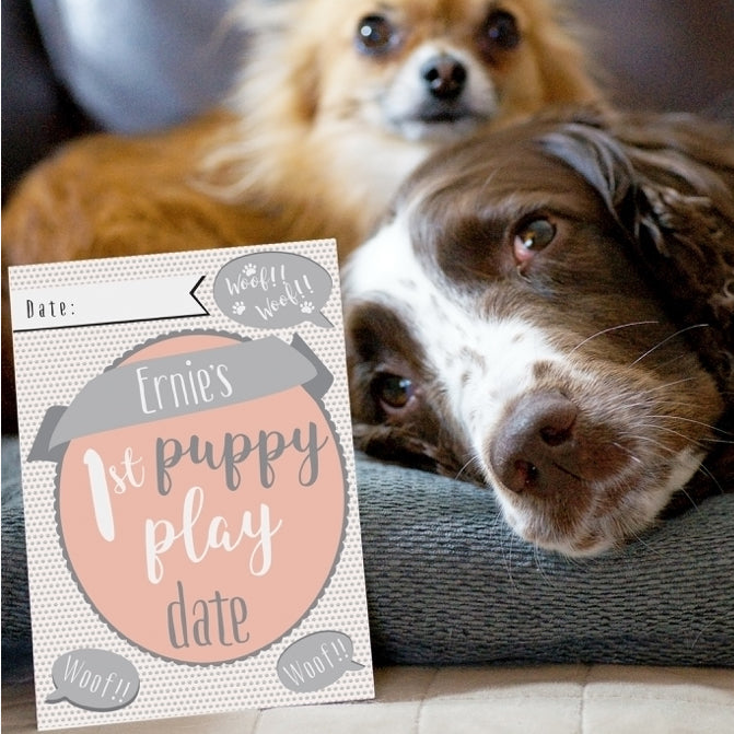 Personalised Puppy Cards: For Milestone Moments