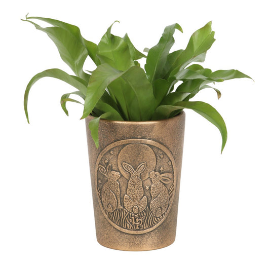 Moon Shadows Bronze Terracotta Plant Pot by Lisa Parker