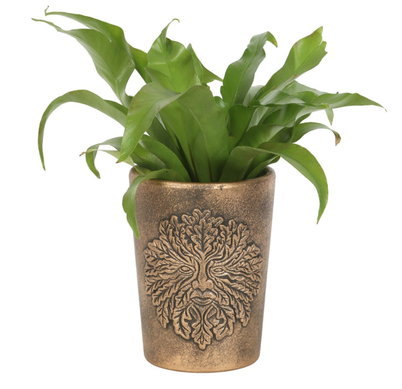 Green Man Bronze Terracotta Plant Pot by Lisa Parker