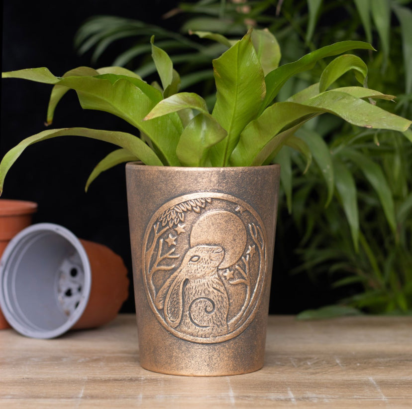 Moon Gazing Hare Bronze Terracotta Plant Pot by Lisa Parker