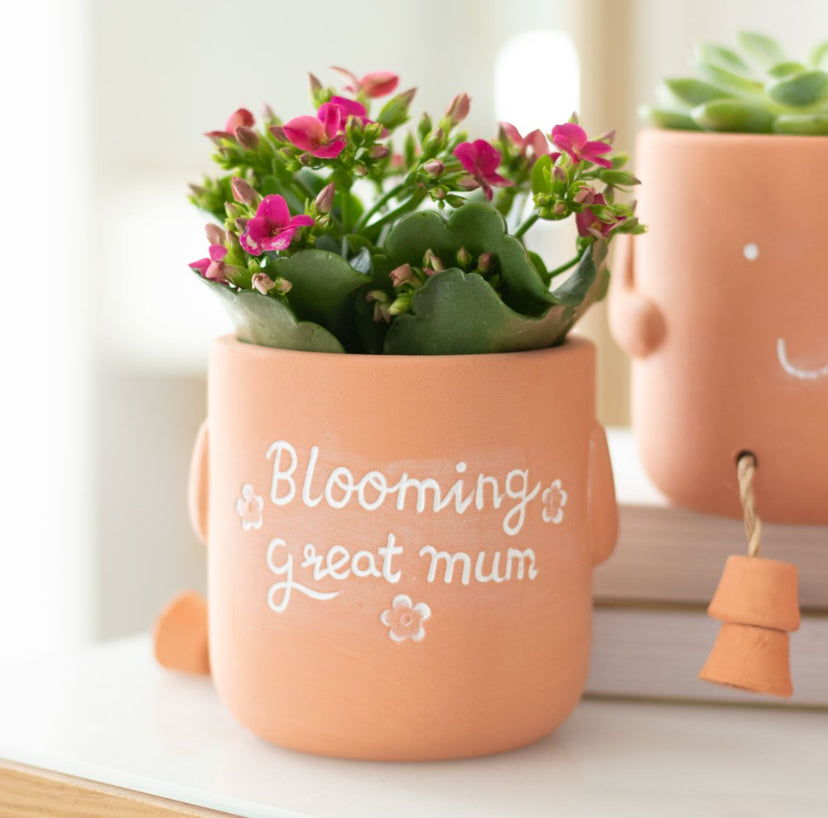 Blooming Great Mum Sitting Plant Pot Pal