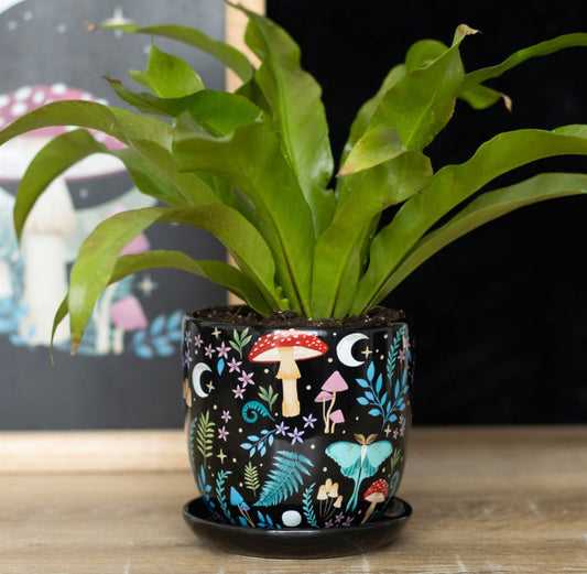 Dark Forest Print Ceramic Plant Pot with Saucer