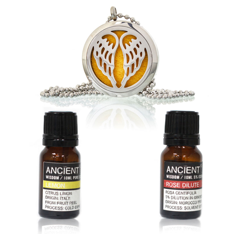 Diffuser Necklace and Essential Oils Set
