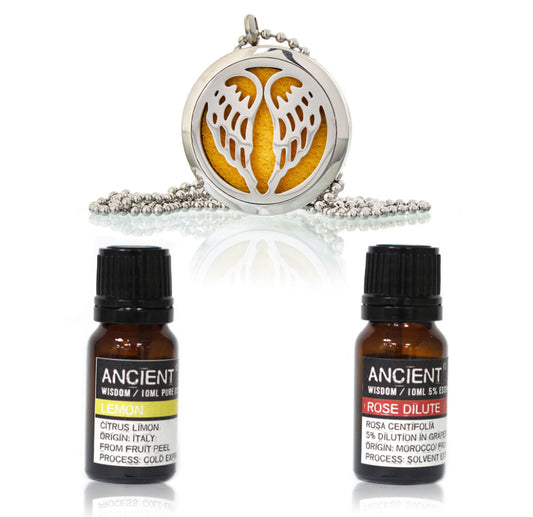 Diffuser Necklace and Essential Oils Set