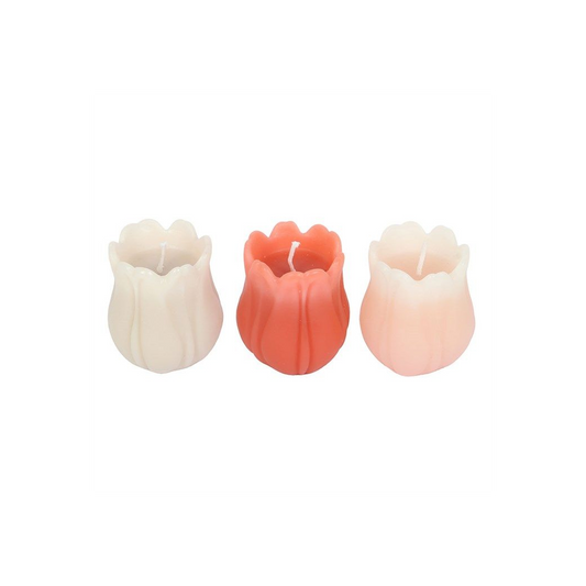 Set of 3 Tulip Shaped Candles