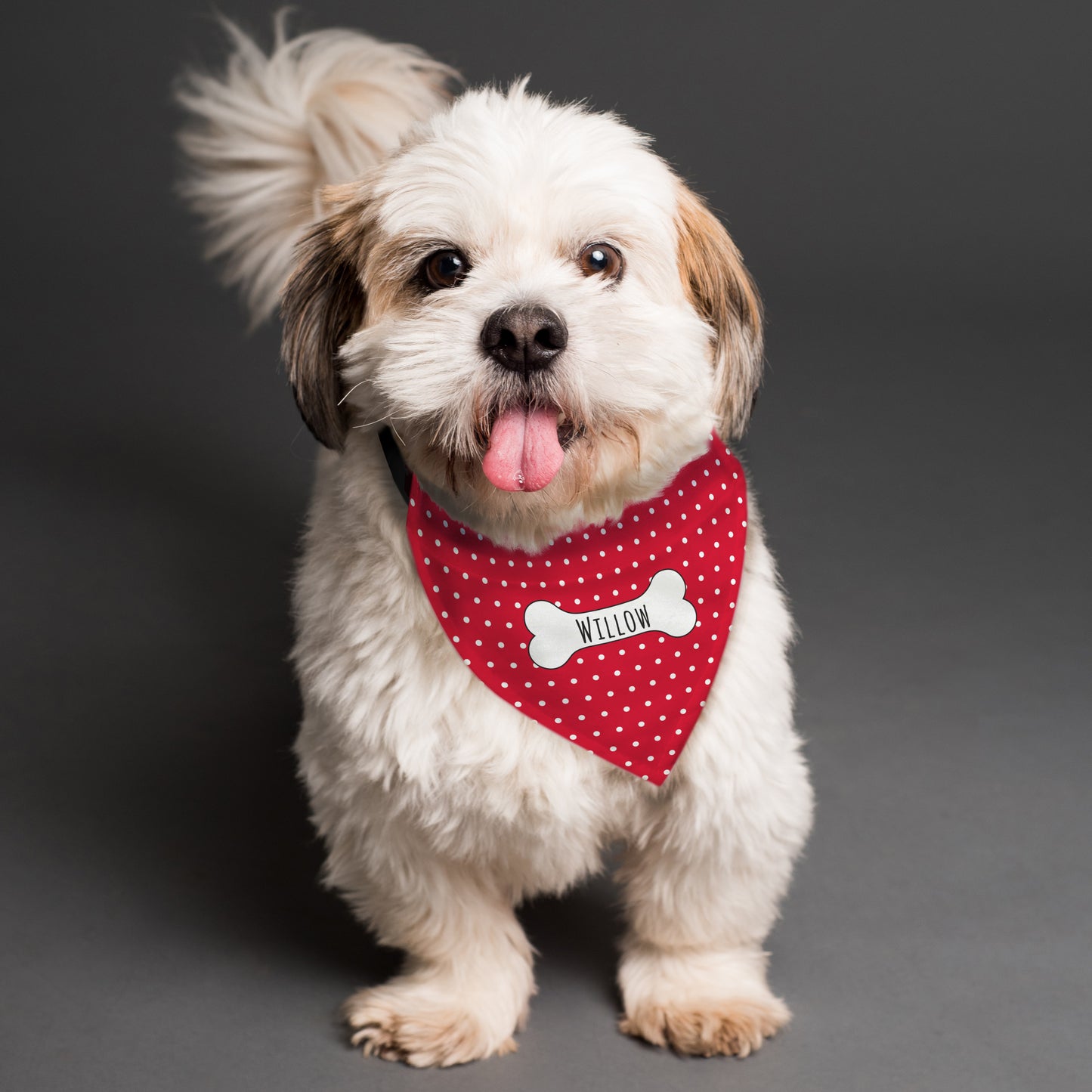 Personalised Red Polka Dot Dog Bandana