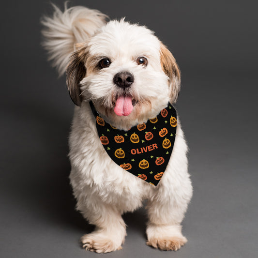 Personalised Pumpkin Patch Dog Bandana