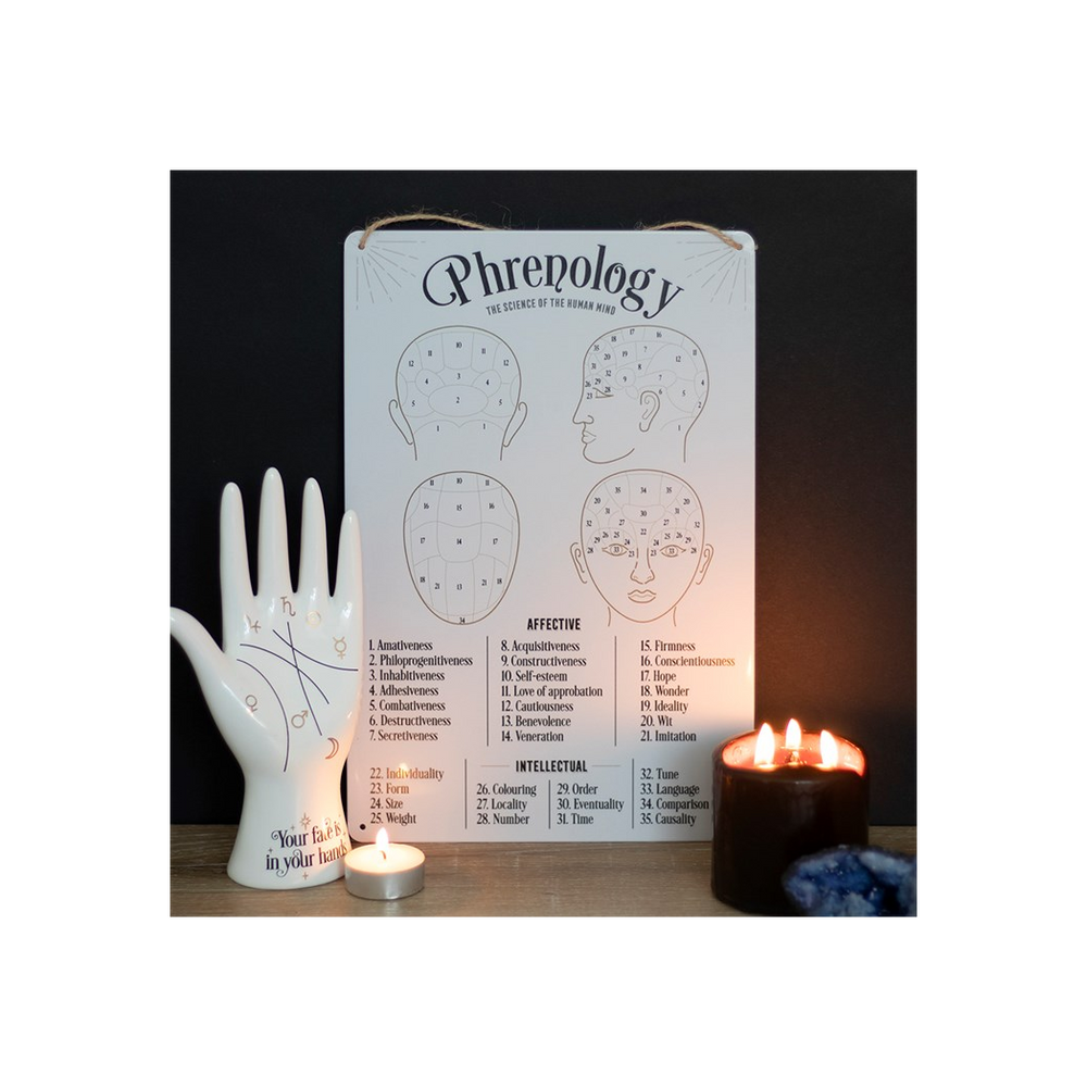 Phrenology Map Metal Sign